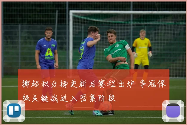 挪超积分榜更新后赛程出炉 争冠保级关键战进入密集阶段