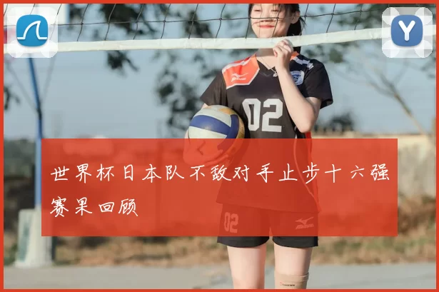 世界杯日本队不敌对手止步十六强赛果回顾