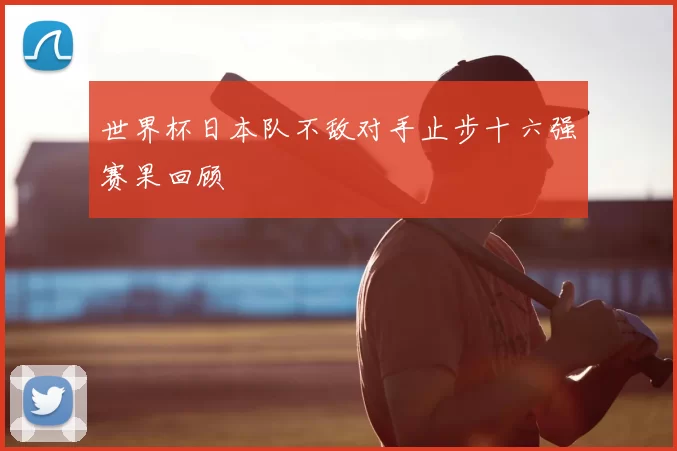 世界杯日本队不敌对手止步十六强赛果回顾