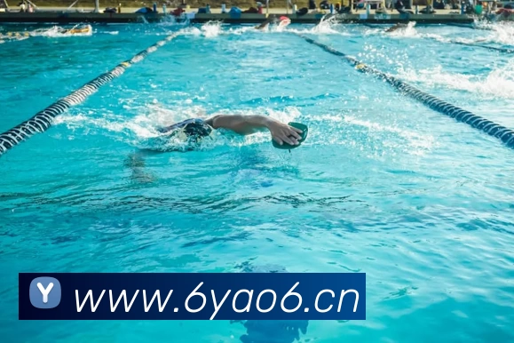 8868体育(8868.com) - 全网热门体育赛事直播平台生态图